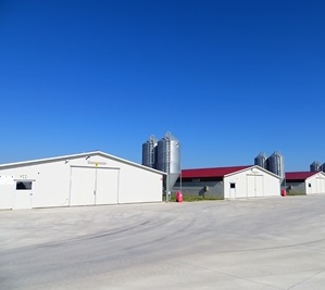 CAPANNONI PREFABBRICATI PER L'AVICOLTURA