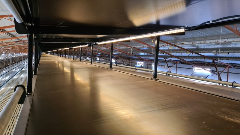 Superficie secondo livello